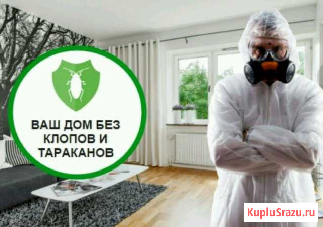 Уничтожение клопов гарантия 12 месяцев Уфа - изображение 1