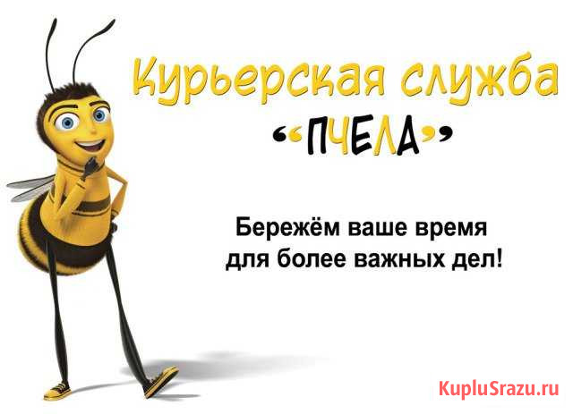 Курьерская служба пчела Брянск - изображение 1