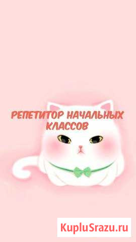 Репетитор начальных классов Владимир - изображение 1