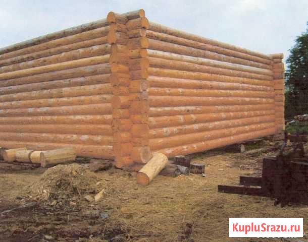 Бригада строителей Рощино - изображение 1