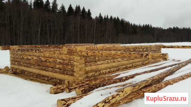Срубы для домов и бань Харовск - изображение 1