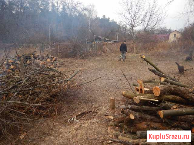 Спил деревьев, удаление пней, вывоз мусора Воронеж - изображение 1
