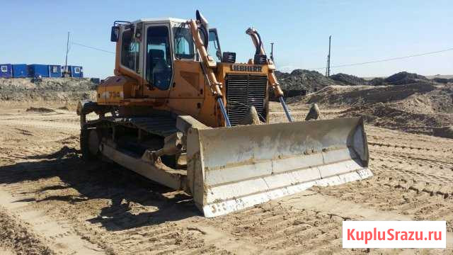 Аренда Гусеничного Бульдозер Liebherr PR 734 LGP Калининград - изображение 1