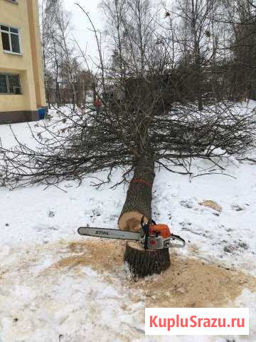Спил дерева Воронеж - изображение 1