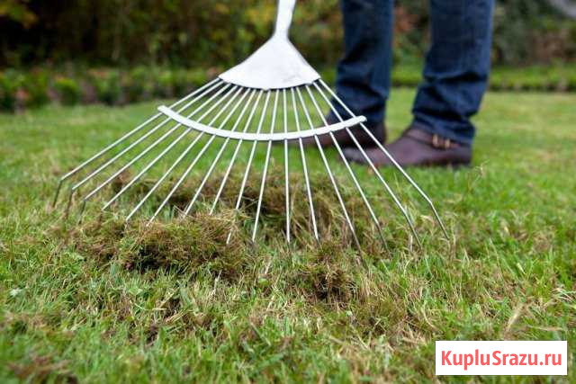 Сервисное обслуживание Вашего газона Кемерово - изображение 1