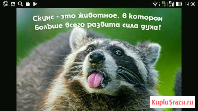 Устранение неприятных запахов+ароматизация Калининград - изображение 1