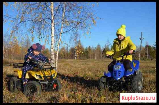 Прокат детских квадроциклов, круглый год Братск