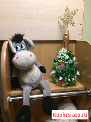 Елочка на Новый Год Кемерово - изображение 1