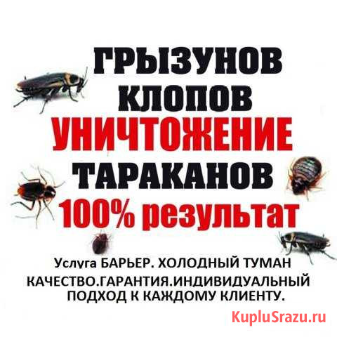 Уничтожение- травля тараканов, клопов Ангарск - изображение 1