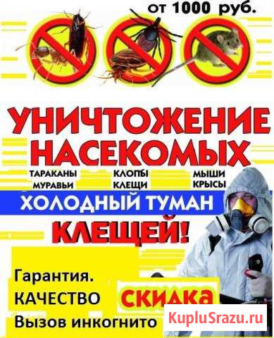 Уничтожение насекомых, грызунов Усолье-Сибирское - изображение 1