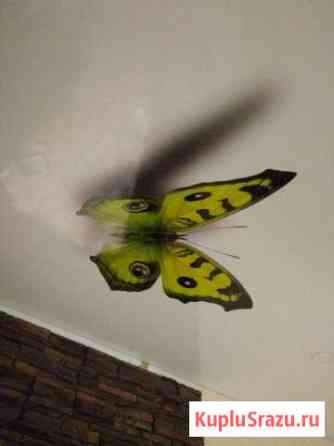 Натяжной потолок в рассрочку,светильники в подарок Иркутск