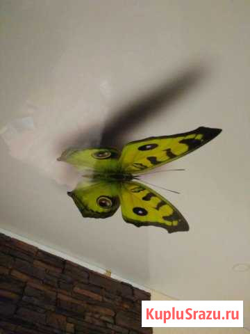 Натяжной потолок в рассрочку,светильники в подарок Иркутск - изображение 1