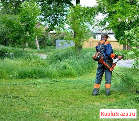 Покос травы Киселевск - изображение 1