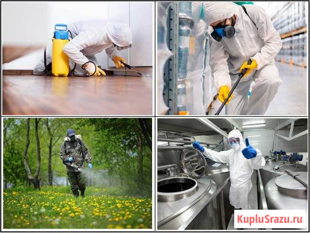 Обработка от насекомых, грызунов и запахов Самара - изображение 1