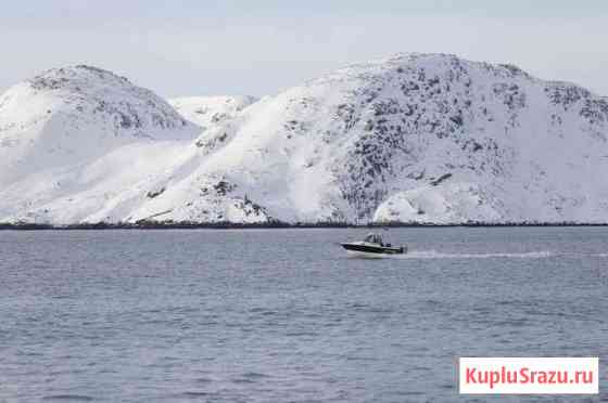 Морская рыбалка, дайвинг, туризм. Териберка Мурманск