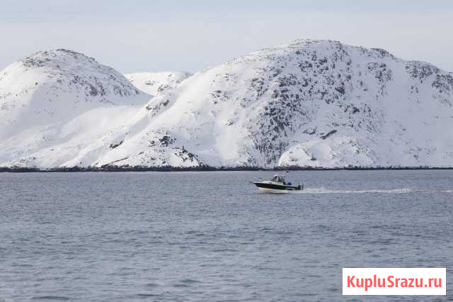 Морская рыбалка, дайвинг, туризм. Териберка Мурманск - изображение 1