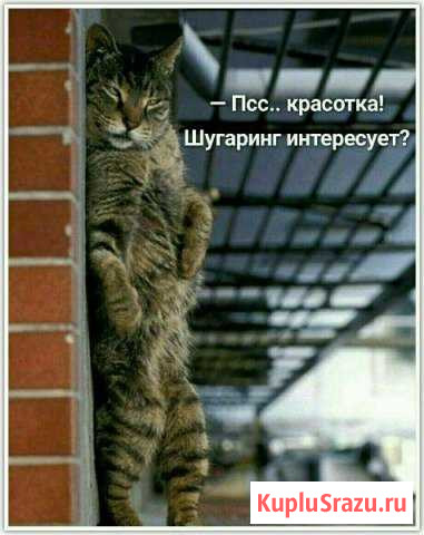 Шугаринг Брови Тольятти - изображение 1
