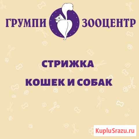 Стрижка собак И кошек Ульяновск - изображение 1