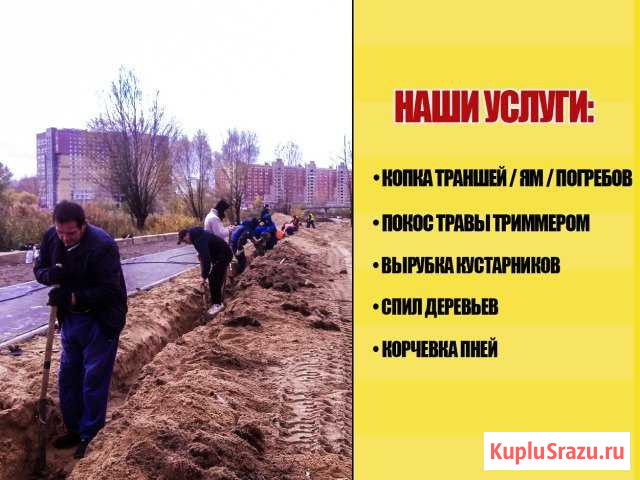 Спил деревьев,покос травы,земляные работы Кисловодск - изображение 1