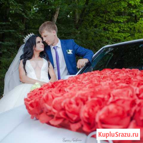 Фотограф. Свадьбы, Мероприятия, Дни рождения, Меню Ставрополь - изображение 1