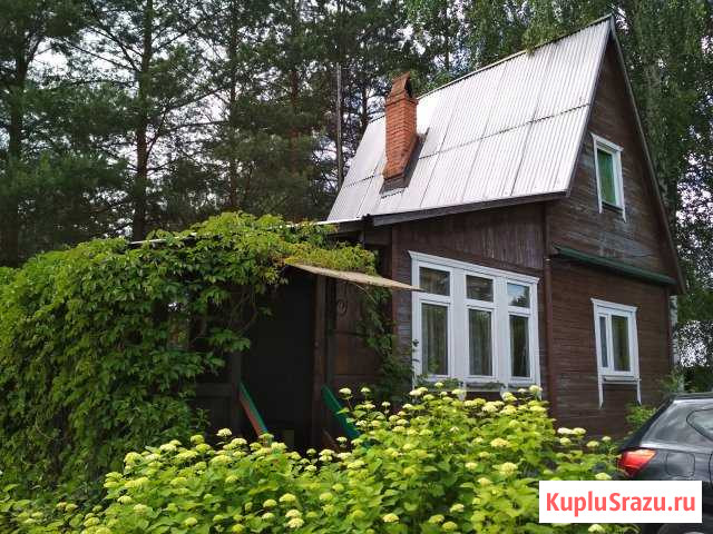  Электрогорск - изображение 1