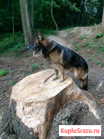 Связка Одинцово - изображение 1