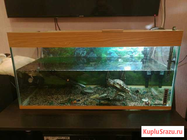 Аквариум Балашиха - изображение 1