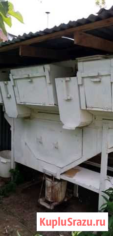 Кроличья мини ферма Видное - изображение 1