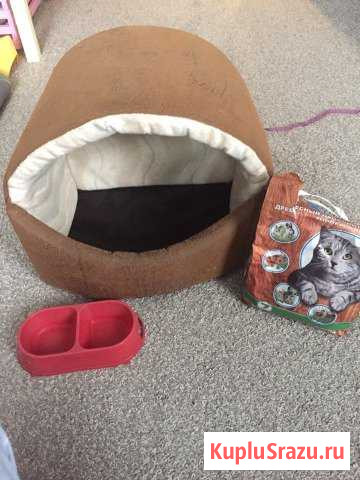 Домик - лежак для кошки / маленьких собак Одинцово - изображение 1