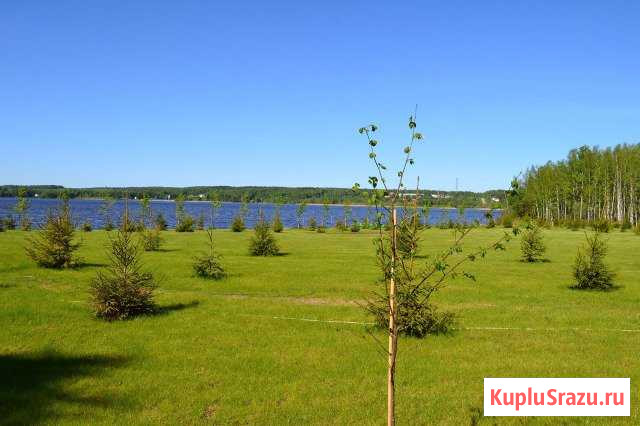  Некрасовский - изображение 1