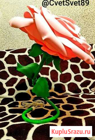 Ростовые цветы Ногинск - изображение 1