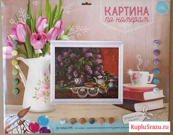 Картина по номерам 40*50 Химки