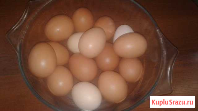 Домашние продукты с доставкой Абинск - изображение 1