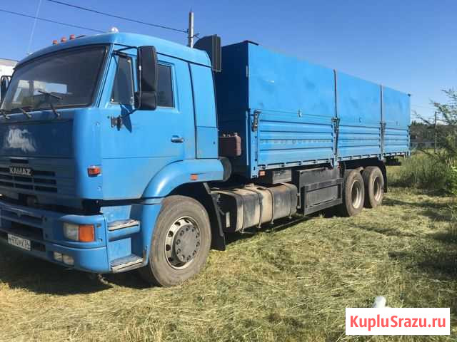 Камаз 65117 щука Целина - изображение 1