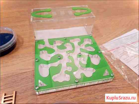 Муравьиный ферма формикарий Санкт-Петербург