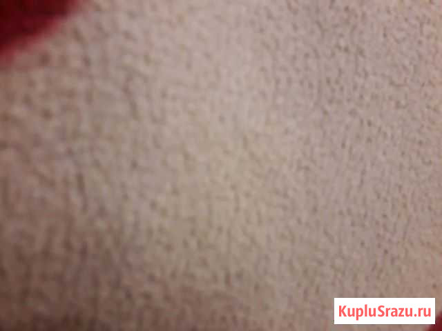 Козлик Крымск - изображение 1