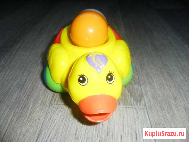 Уточка Райчихинск - изображение 1