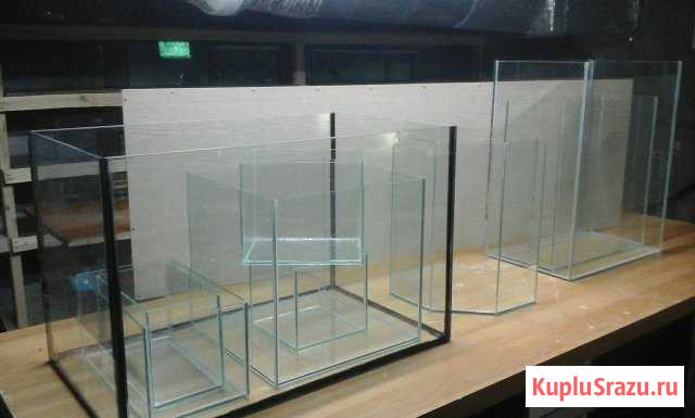 Аквариум Набережные Челны - изображение 1