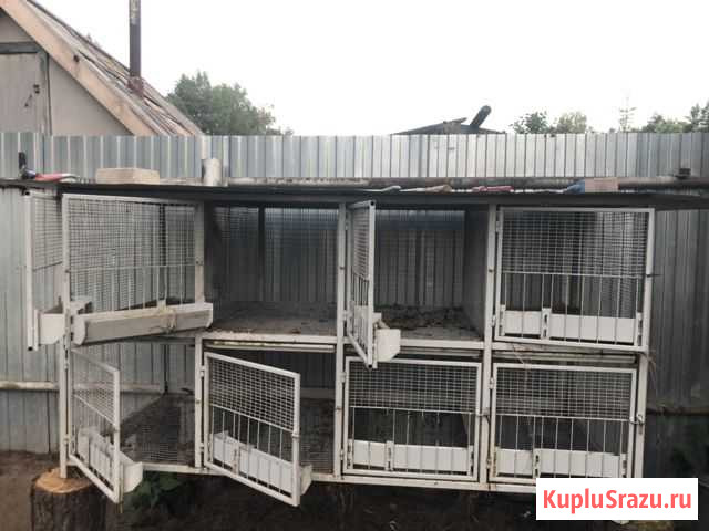 Клетка Зеленодольск - изображение 1