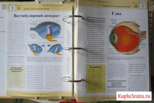 Домашняя медицинская энциклопедия Севастополь - изображение 1