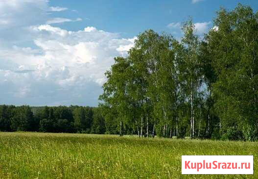  Тихвин - изображение 1