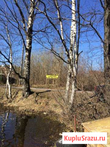  Токсово - изображение 1