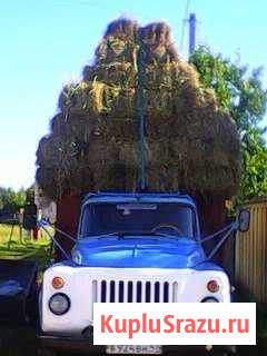 Сено в тюках Сясьстрой - изображение 1