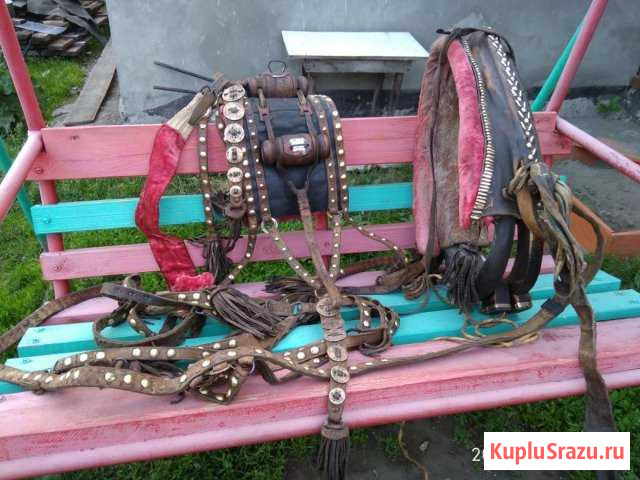 Сбруя наборная Бийск - изображение 1