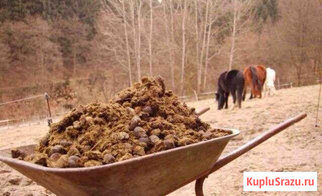 Навоз конский в мешках Лесколово - изображение 1