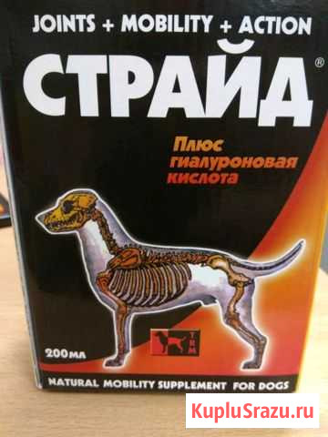 Витамины для собак новые годен до марта 2021года Северодвинск - изображение 1