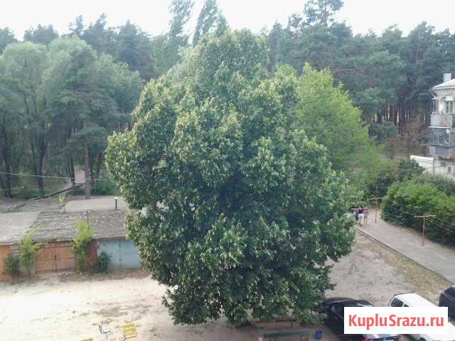 Гараж на продажу в Шебекино Шебекино - изображение 1
