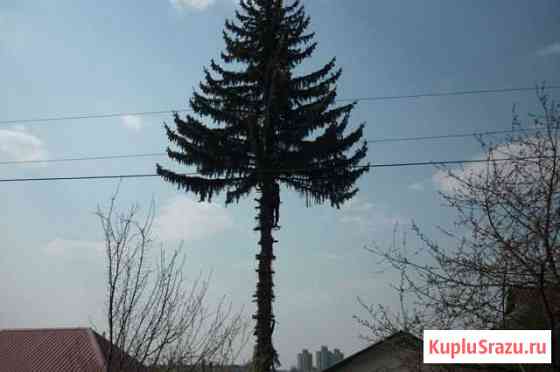 Трубки Нержавейка СССР Губкин