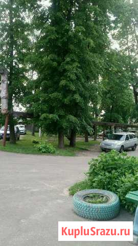 1-к квартира, 33 кв.м., 2/3 эт. Новозыбков - изображение 1