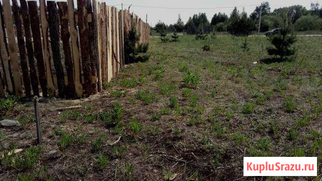  Клинцы - изображение 1